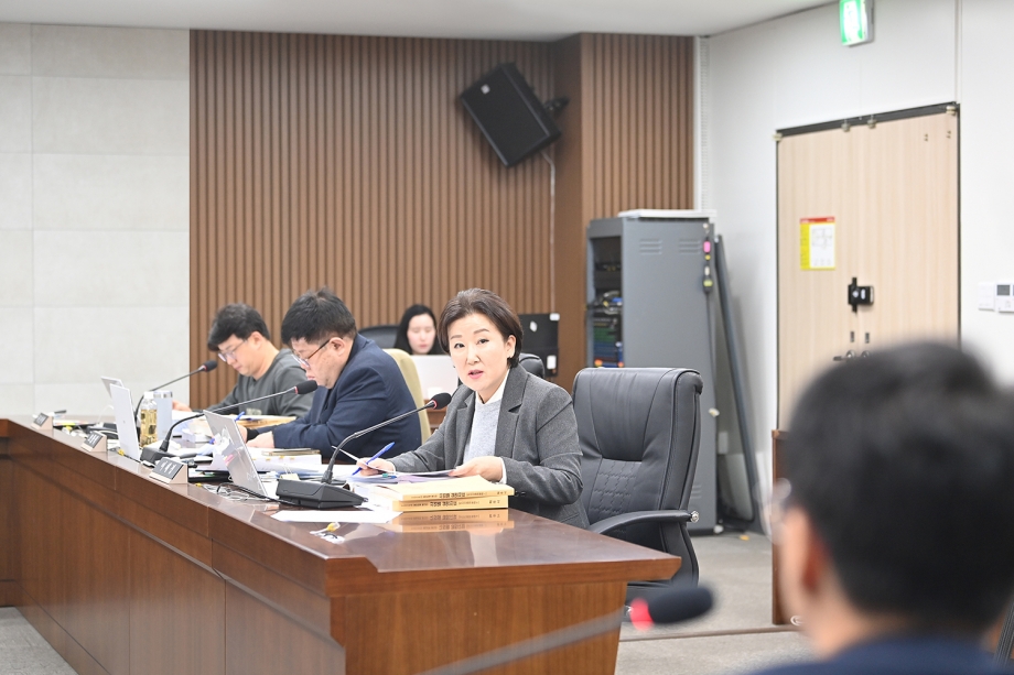 제260회 파주시의회 2차 정례회 예산결산특별위원회 (2025. 12. 11) 4번째 파일