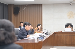 제260회 파주시의회 2차 정례회 예산결산특별위원회 (2025. 12. 11) 10번째 파일