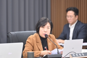 제260회 파주시의회 2차 정례회 예산결산특별위원회 (2025. 12. 11) 11번째 파일